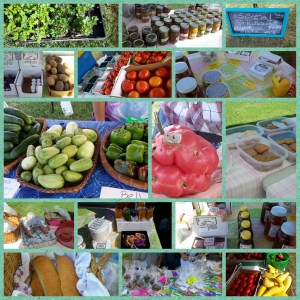 tmp_13481-PhotoGrid_1469887279623-1873553005